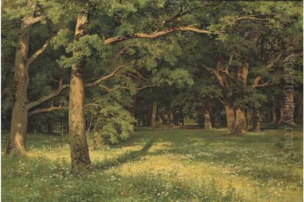 Forest Clearing - view 1