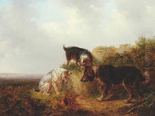Terriers At A Rabbit Hole - view 1