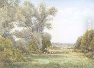 Sheep In The Shade Of Trees by Henry John Sylvester Stannard