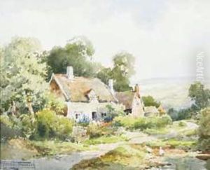 Down A Cotswold Lane