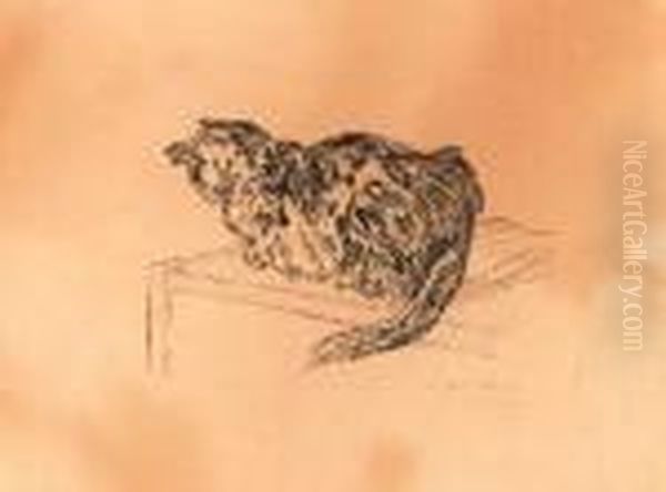 Le Chat - view 1