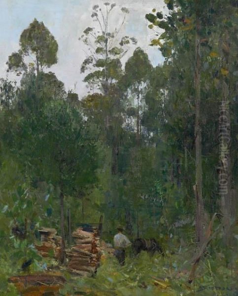 Timber Cutting, Longacres, Olinda - view 1