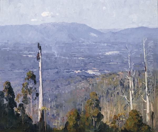 Our Vanishing Forests - view 1