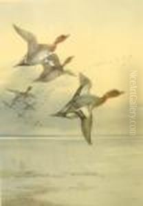 Ducks In Flight by Archibald Thorburn