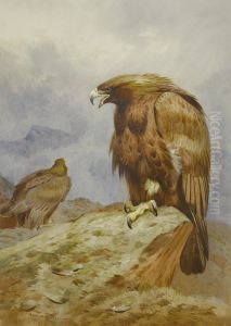 A Pair Of Golden Eagles