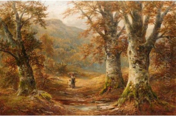 In The Woods Near Bettws-y-coed - view 1
