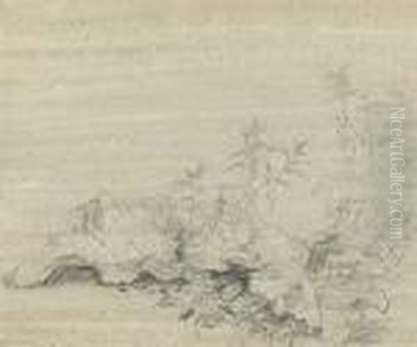 Burdock Leaves - view 1