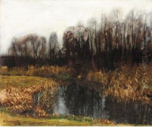 After The Rain by Stanislaw Zukowski