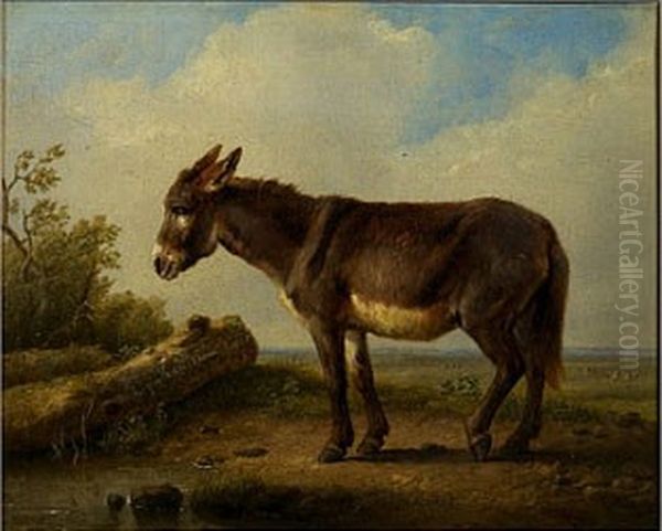 Landscape with donkey - view 1