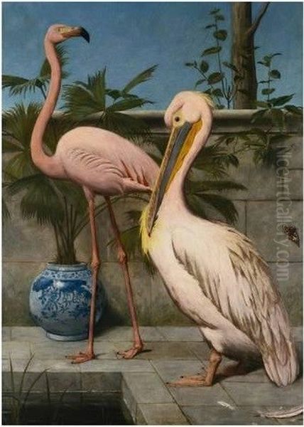 flamingo and pelican - view 1