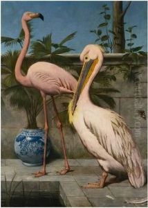 flamingo and pelican flamingo and pelican