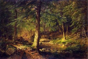 Forest Scene