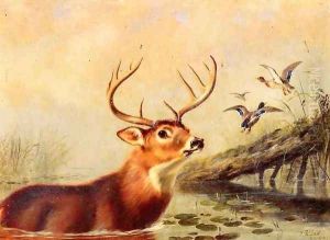 Buck in a Marsh by Arthur Fitzwilliam Tait