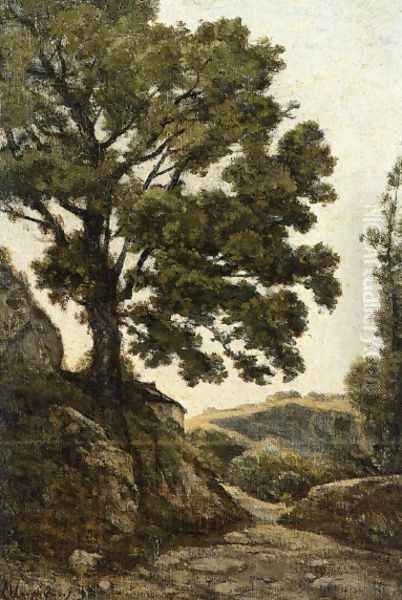 A Large Tree - Path in the Countryside - view 1