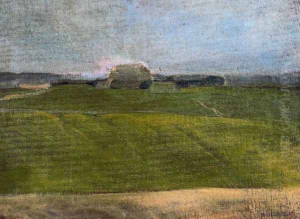 Arrozal de Sueca - view 1