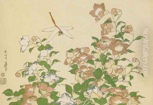 Bell-Flower and Dragonfly