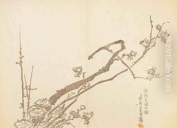 Branch of Plum - view 1