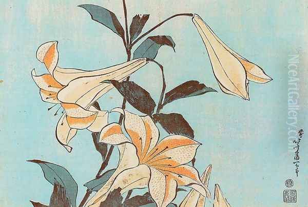 Lilies - view 1