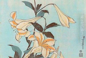 Lilies