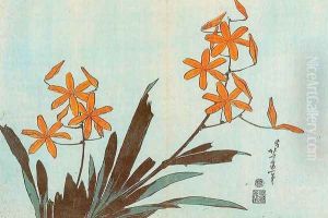 Orange Orchids