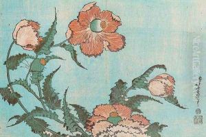 Poppies