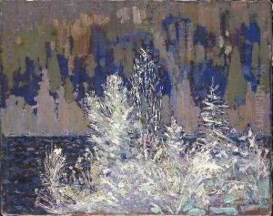 Frost-laden Cedars, Big Cauchon Lake