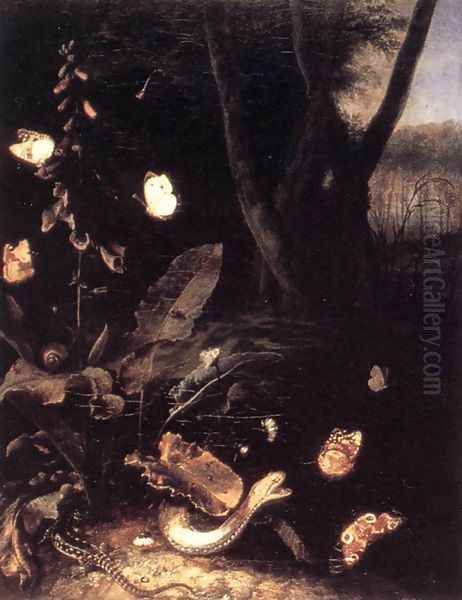 Still-life with Plants and Reptiles - view 1