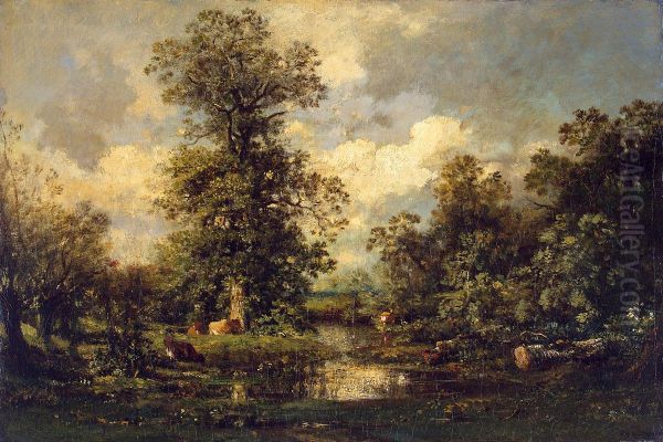 Forest Landscape - view 1
