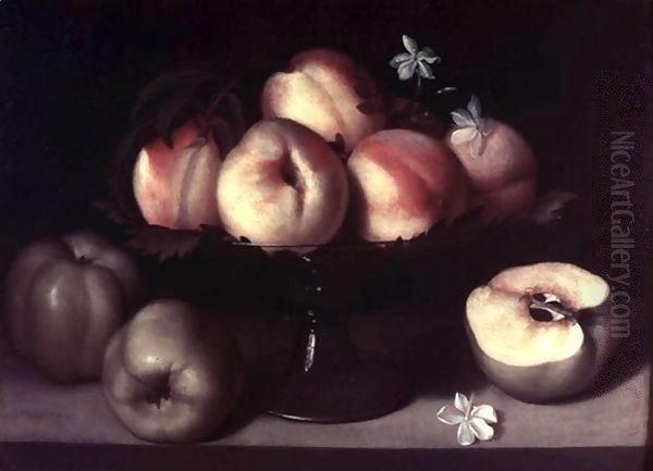 Still-Life - view 1