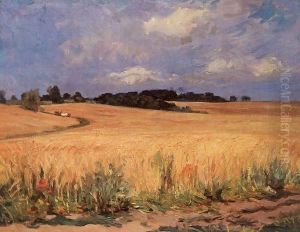 Cornfield 1971 by Imre Amos
