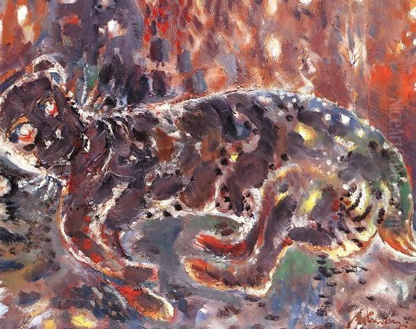 The Cat 1950 - view 1