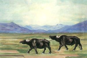 Buffaloes 1929 by Maria Modok
