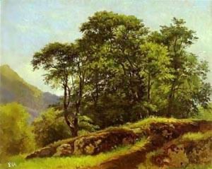 Beech Forest In Switzerland 1863 Beech Forest In Switzerland 1863