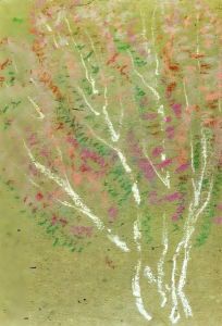 Birch Trees