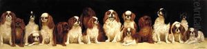Seventeen seated King Charles and Blenheim spaniels
