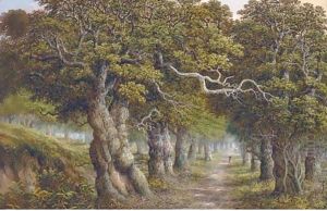 The forest track by Charles Leaver