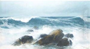 Waves crashing on a rocky shore by David James