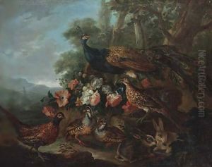 A peacock, pheasants and rabbits in a wooded park