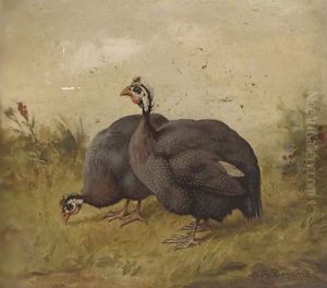 Guinea fowl by Henry Charles Bryant