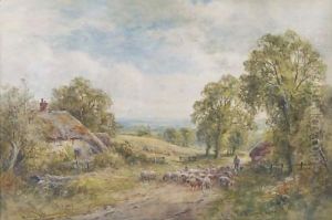 A Sussex lane
