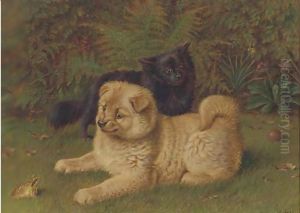 Chow pomeranians in a garden Chow pomeranians in a garden