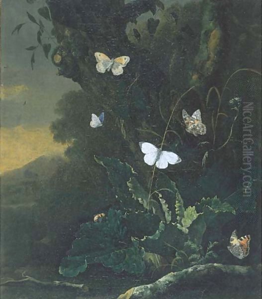 A forest floor still life with a Small Tortoiseshell (aglais urticae), a male Large White (pieris brassicae), a Painted Lady (vanessa cardui) - view 1