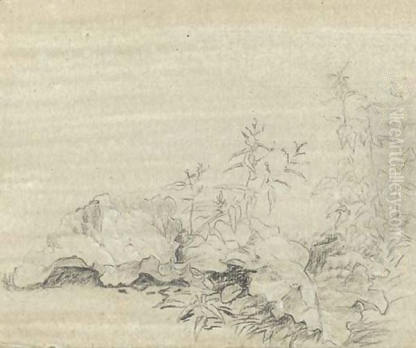 Burdock leaves - view 1