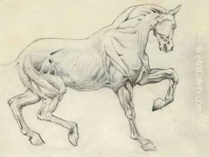 Ecorche figure of a horse by Sir Edward Coley Burne-Jones