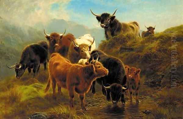 Highland cattle 2 - view 1