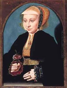 Portrait of a Lady by Bartholomaeus, the Elder Bruyn