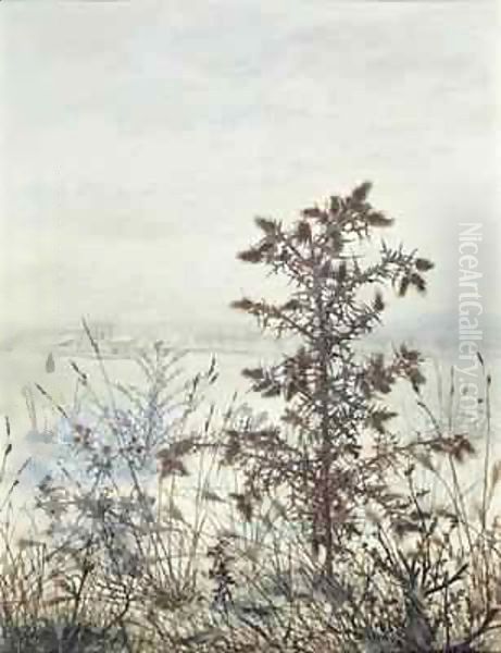 Thistles and Weeds - view 1