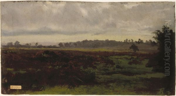Marshlands - view 1