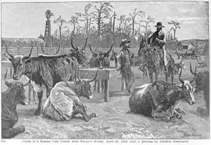 The Travelling Tinker by John Bolles