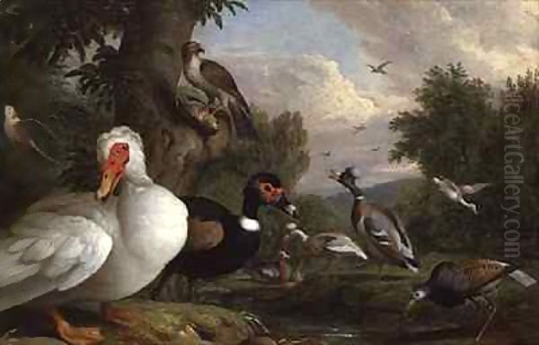 Variety of Ducks by a Pool - view 1